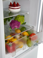 Холодильник встраиваемый Ascoli ADRF241WEBI