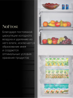 Холодильник встраиваемый Ascoli ADRF241WEBI