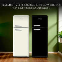 Холодильник Tesler RT-218, черный