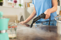 Пароочиститель Karcher SC 3 Deluxe EasyFix (1.513-430.0) белый/черный