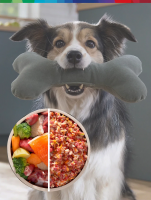 Мясорубка электрическая Bosch MFWS609W, белый