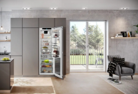 Холодильник встраиваемый однокамерный Liebherr IRBAc 5190 Peak, BioFresh, No Frost