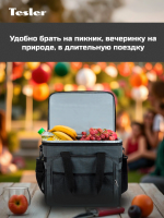 Автомобильный холодильник Tesler TCB-2524, серый