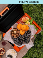 Автомобильный холодильник Alpicool CL40 (12/24), черный