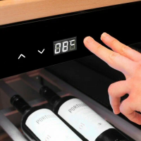 Винный шкаф Caso WineExclusive 66 Smart, черный