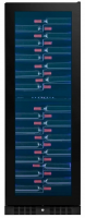 Винный шкаф Temptech CPRO1800DRB-24, черный