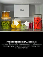 Холодильник встраиваемый однокамерный AEG NSK6D181ES