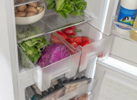 Встраиваемый холодильник Scandilux RBI255