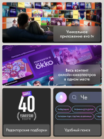 Телевизор Haier 55 LED H1, черный