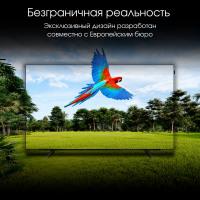 Телевизор OLED Digma Pro OLED 55M, Google TV, Frameless, черный/серебристый