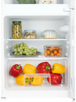 Холодильник Nord NT 90 W, белый