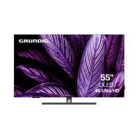 Телевизор Grundig 55 OLED GH 9700, серебристый
