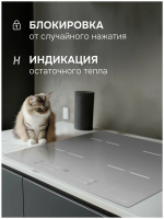 Индукционная варочная панель Zigmund & Shtain CI 23.6 S, серый