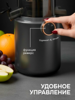 Соковыжималка Zigmund & Shtain ESJ-771, шнековая, 500 Вт, серый графит