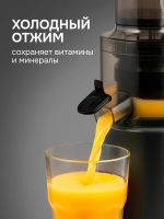 Соковыжималка Zigmund & Shtain ESJ-771, шнековая, 500 Вт, серый графит