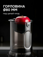 Соковыжималка Zigmund & Shtain ESJ-771, шнековая, 500 Вт, серый графит