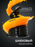 Соковыжималка Zigmund & Shtain ESJ-771, шнековая, 500 Вт, серый графит