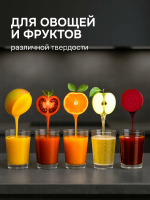 Соковыжималка Zigmund & Shtain ESJ-771, шнековая, 500 Вт, серый графит