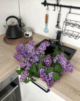Смеситель для кухни Omoikiri Tonami-BL, с подключением фильтра / черный