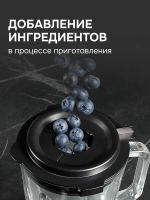 Блендер стационарный Zigmund & Shtain BS-488 D, черный/стальной