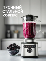 Блендер стационарный Zigmund & Shtain BS-488 D, черный/стальной