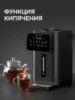 Термопот Zigmund & Shtain ZTP-950, черный