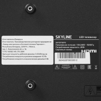 Телевизор Skyline 24YST5970, черный
