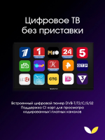 Телевизор TopDevice TDTV24ES13H_BK, чёрный