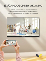 Телевизор TopDevice TDTV24ES13H_BK, чёрный