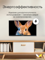 Телевизор TopDevice TDTV24ES13H_BK, чёрный