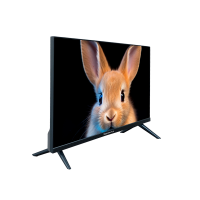 Телевизор TopDevice TDTV24ES13H_BK, чёрный