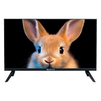 Телевизор TopDevice TDTV24ES13H_BK, чёрный