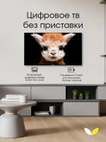 Телевизор TopDevice TDTV50ES13U, черный