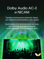 Телевизор TopDevice TDTV50ES13U, черный