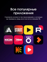 Телевизор TopDevice TDTV50ES13U, черный