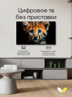 Телевизор TopDevice TDTV55ES13U_BK, черный