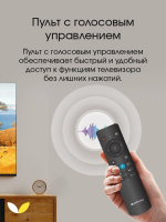 Телевизор TopDevice TDTV55ES13U_BK, черный
