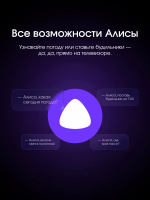 Телевизор TopDevice TDTV55ES13U_BK, черный