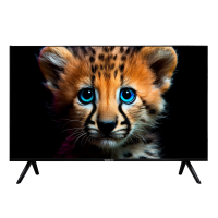 Телевизор TopDevice TDTV55ES13U_BK, черный