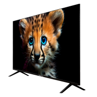 Телевизор TopDevice TDTV55ES13U_BK, черный
