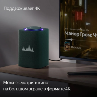 Умная колонка Yandex Станция Макс Zigbee Алиса (YNDX-00053Z) зеленый 65W 1.0 BT/Wi-Fi