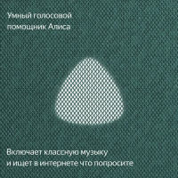 Умная колонка Yandex Станция Макс Zigbee Алиса (YNDX-00053Z) зеленый 65W 1.0 BT/Wi-Fi