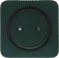 Умная колонка Yandex Станция Макс Zigbee Алиса (YNDX-00053Z) зеленый 65W 1.0 BT/Wi-Fi