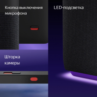 Умная колонка Yandex Станция Дуо Макс Zigbee Алиса (YNDX-00055BLK) черный 60W 1.0 BT/Wi-Fi