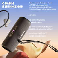 Умная колонка Yandex Стрит Алиса (YNDX-00030BLK) черный 30W 2.0 BT/Wi-Fi