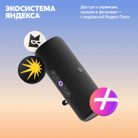 Умная колонка Yandex Стрит Алиса (YNDX-00030BLK) черный 30W 2.0 BT/Wi-Fi