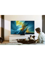 Телевизор OLED Samsung QE77S95FAUXRU, 4K Ultra HD, 120 Гц, Smart TV, черный титан