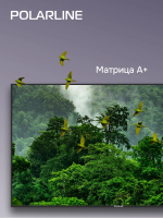 Телевизор Polarline 65PU51TC-SM, 65" LED, 4K Ultra HD, черный, смарт ТВ, Android