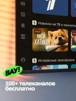 Телевизор LED Sber SDX-43F3000DBA, Smart TV (Умный дом Sber) 4K UHD, черный