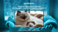 Телевизор QLED Skyworth 55Q66H, Smart TV (Google TV) 4K Ultra HD, черный/серебристый